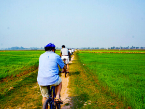 A Bike Ride to Countryside