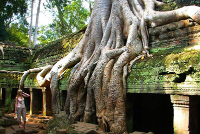 Angkor Complex Tours