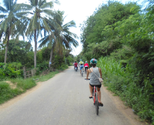 Cambodia Bike Countryside
