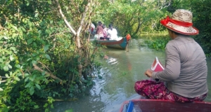 Kampong Phluk Mangrove