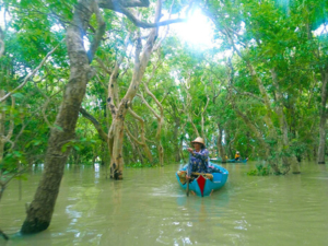 Kompong Phluk mangrove