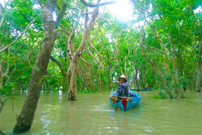 Kompong Phluk village mangrove