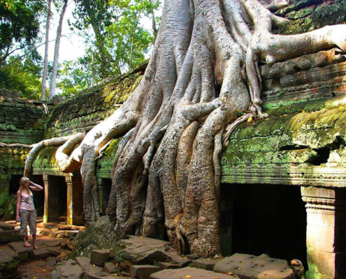 Ta Prohm Temple