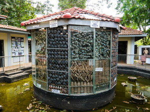 The Cambodian Landmine Museum