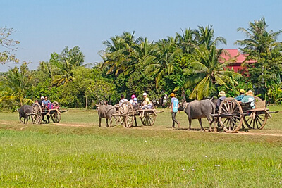 Village Oxcart ride Siem Reap