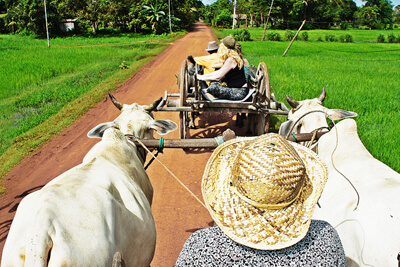 Village Oxcart ride Siem Reap