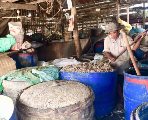 Fermented Fish Market