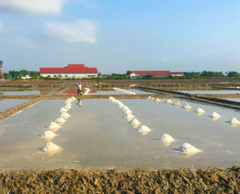 Kampot Salt Field