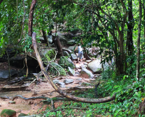 Kbal Spean trekking