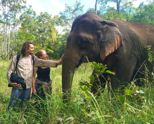 Mondulkiri Elephant Project