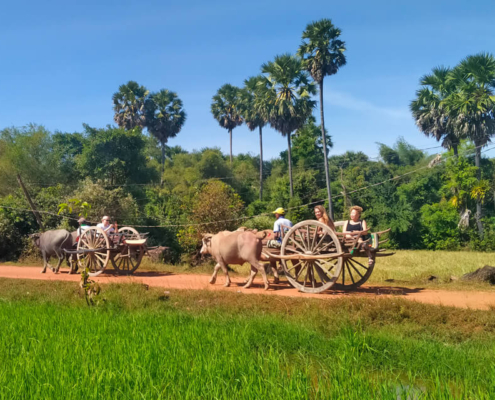 Ox Cart Ride Siem Reap