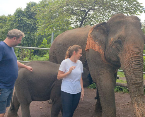 Ratanakiri Airavata elephant sanctuary