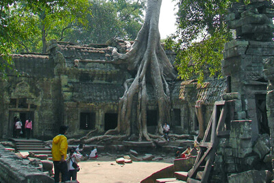 Ta Prohm Temple