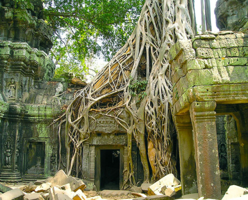 Ta Prohm Temple