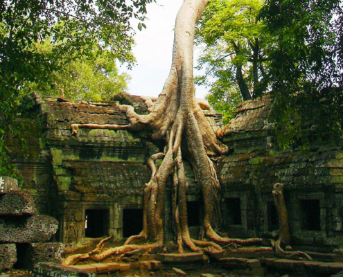 Ta Prohm Temple