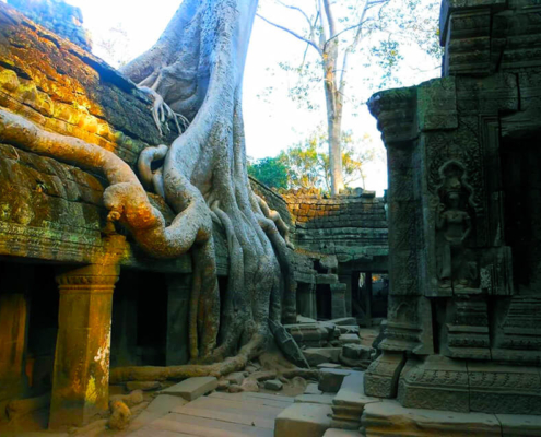 Ta Prohm Temple