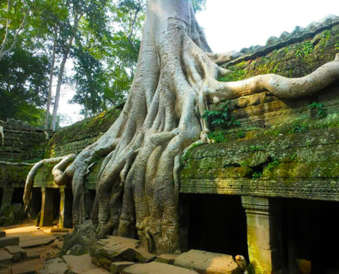 Ta Prohm Temple