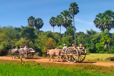 Village Oxcart ride Siem Reap