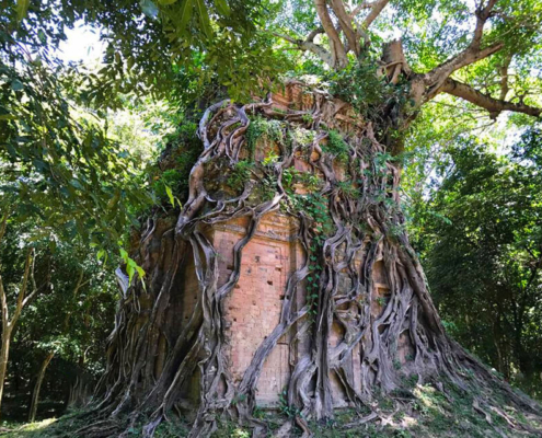 Sambor Prei Kuk Temple