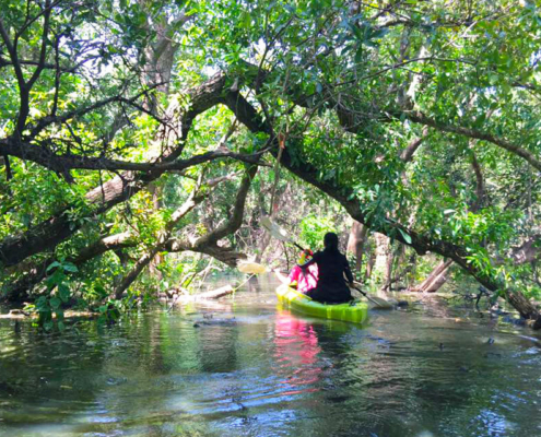 Tonle Sap Lake Kayaking