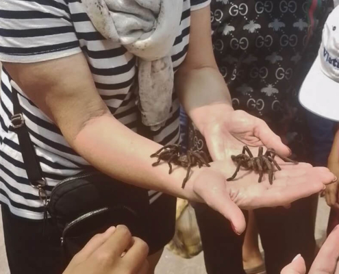 Skun spider village
