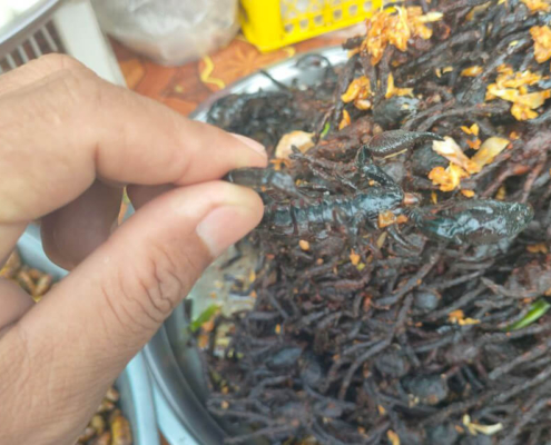 Skun spider village