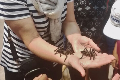 Skun spider village