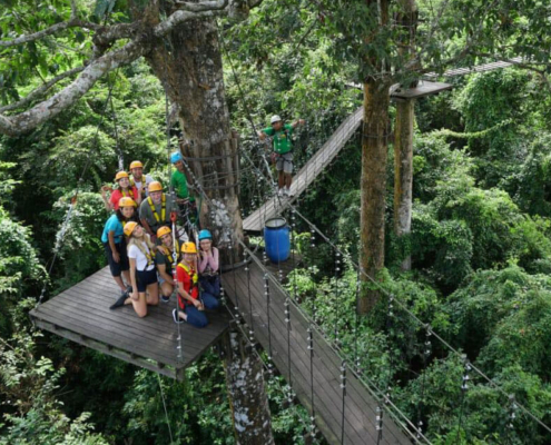 Angkor zipline