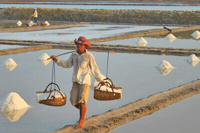 Kampot Salt Fields